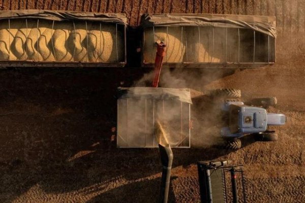 配资专业网上炒股 30万吨美国大豆披上阿根廷马甲, 企图混过关, 中国海关技高一筹!